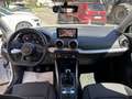 Audi Q2 30 TFSI S line Edition LED-NAVI Bianco - thumbnail 8