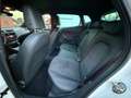 SEAT Ibiza FR 1.5TSI 150PK DSG |✅ACC | DCC | KEY LESS | LED Blanc - thumbnail 12