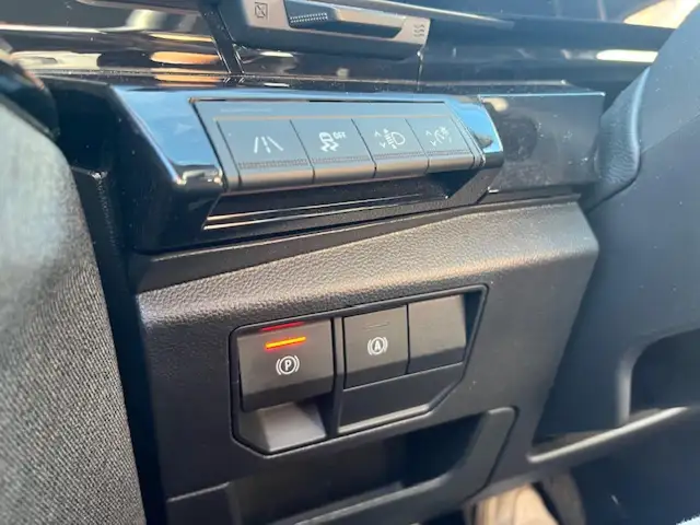 Renault Austral view 21