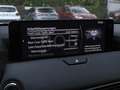 Mazda CX-60 2.5 SKYACTIV-G Homura PHEV *unfallfrei* Grau - thumbnail 17