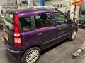 Fiat Panda Panda 1.2 Edizione Cool Mauve - thumbnail 4