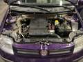 Fiat Panda Panda 1.2 Edizione Cool Mauve - thumbnail 6