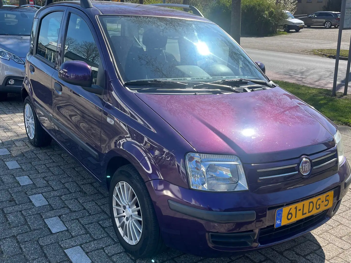 Fiat Panda Panda 1.2 Edizione Cool Mauve - 1