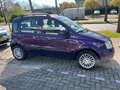 Fiat Panda Panda 1.2 Edizione Cool Mauve - thumbnail 2