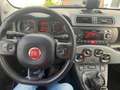 Fiat Panda Panda 1,2 69 Active 2x vorhanden Rot - thumbnail 14
