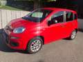 Fiat Panda Panda 1,2 69 Active 2x vorhanden Rot - thumbnail 18