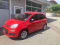 Fiat Panda Panda 1,2 69 Active 3x vorhanden Blau - thumbnail 1