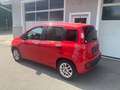 Fiat Panda Panda 1,2 69 Active 3x vorhanden Blau - thumbnail 11