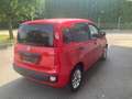 Fiat Panda Panda 1,2 69 Active 3x vorhanden Blau - thumbnail 3