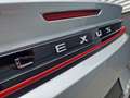 Lexus RZ 450e President Line 71 kWh NIEUW - Full Options - - thumbnail 20