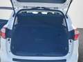 Ford C-Max C-MAX Trend 1.0 EcoBoost Weiß - thumbnail 15