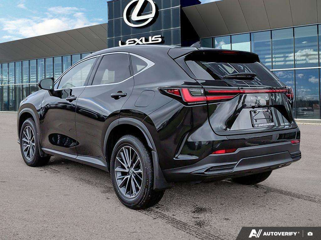 2025 Lexus NX