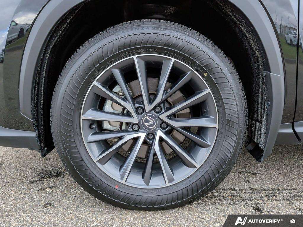 2025 Lexus NX