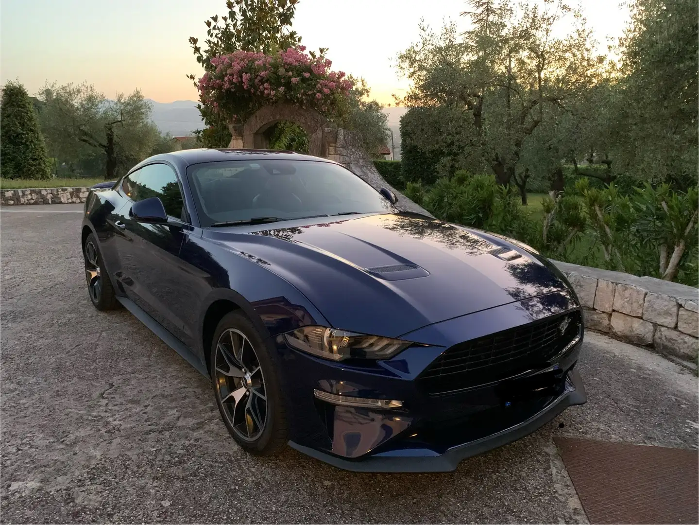 Ford Mustang Fastback 2.3 ecoboost 291cv my20 - 1