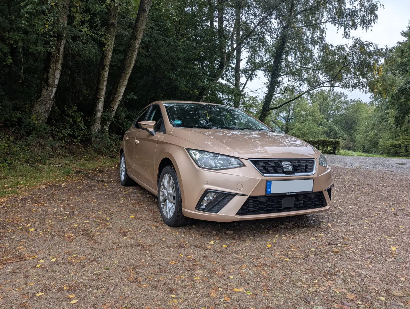 SEAT Ibiza Ibiza 1.6 TDI S Bronze - 1