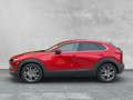Mazda CX-30 2.0 SKYACTIV-G SELECTION 2WD Selection LED+NAVI+SH Rot - thumbnail 2