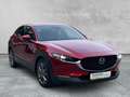 Mazda CX-30 2.0 SKYACTIV-G SELECTION 2WD Selection LED+NAVI+SH Rot - thumbnail 6