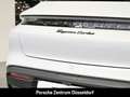 Porsche Taycan Turbo Cross Turismo Surround-View 21-Zoll Grau - thumbnail 11