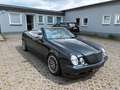 Mercedes-Benz CLK 230 KOMPRESSOR AVANTGARDE CABRIO Czarny - thumbnail 7