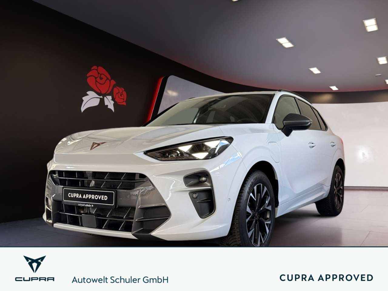 Cupra Terramar 2025