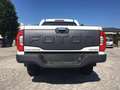 Foton Tunland G7 6 MT CONSEGNA IN TUTTA ITALIA!! Blanco - thumbnail 5