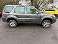 Ford Maverick Basis 4x4 Klima,AHK,Leder,Navi,Tüv Neu Gris - thumbnail 4