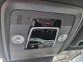BYD Dolphin Surf Boost Grün - thumbnail 12