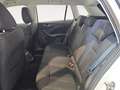 Skoda Kamiq 1.0 TSI AMBITION DSG Bianco - thumbnail 12