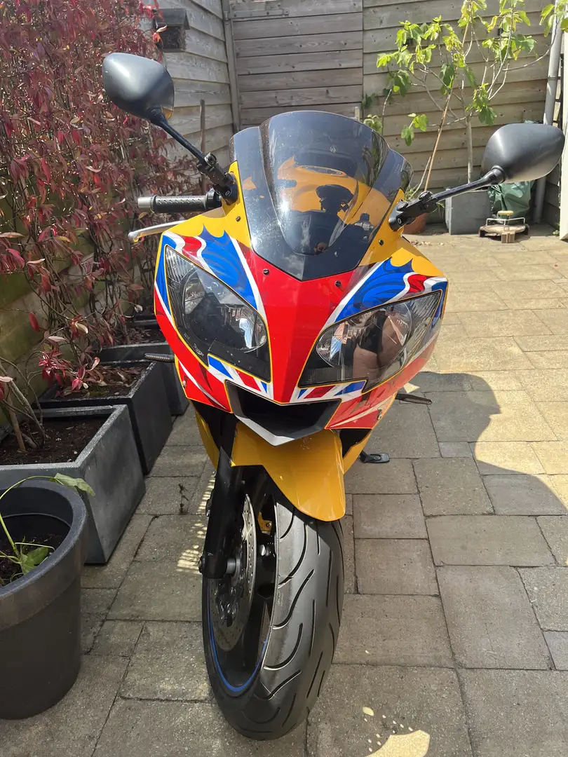 Triumph Daytona 600 Yellow - 2