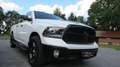 Dodge RAM /5,7 HEMI/V8/4X4/CREW CAB/SPORT/SHZ/LRH/AHK Weiß - thumbnail 4