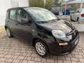 Fiat Panda Panda 1.0 firefly hybrid s Schwarz - thumbnail 3