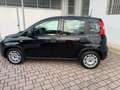 Fiat Panda Panda 1.0 firefly hybrid s Schwarz - thumbnail 7