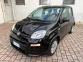 Fiat Panda Panda 1.0 firefly hybrid s Schwarz - thumbnail 1