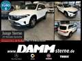 Mercedes-Benz EQB 300 EQB 300 4M Progr. Adv.+/Pano/7-Sitze/360°/+ Flex Weiß - thumbnail 1