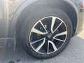 Nissan X-Trail 1.6 DCI PRIX MARCHAND-EXPORT Vert - thumbnail 18
