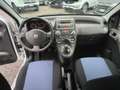 Fiat Panda Panda 1.2 4x4 Climbing Argento - thumbnail 11