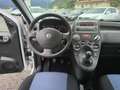 Fiat Panda Panda 1.2 4x4 Climbing Argento - thumbnail 12