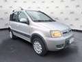 Fiat Panda Panda 1.2 4x4 Climbing Argento - thumbnail 4