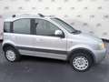 Fiat Panda Panda 1.2 4x4 Climbing Argento - thumbnail 5