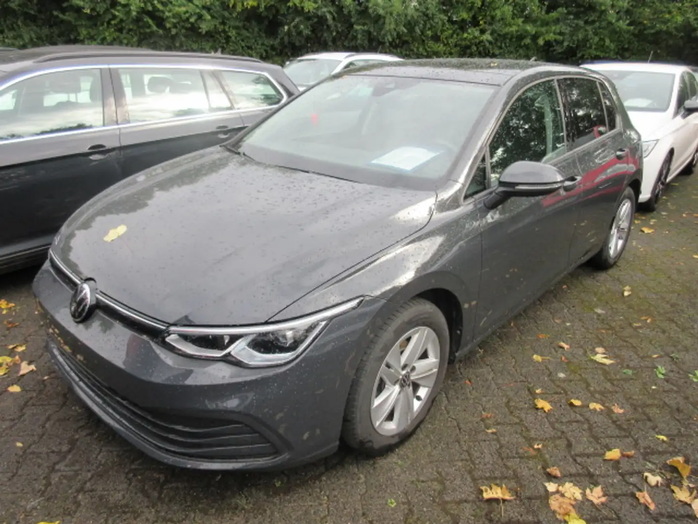 Volkswagen Golf Life 1.0 TSI PANORAMA IQ LIGHT KLIMA ALU APS SITZHEIZUNG eFH ZV Grau - 1