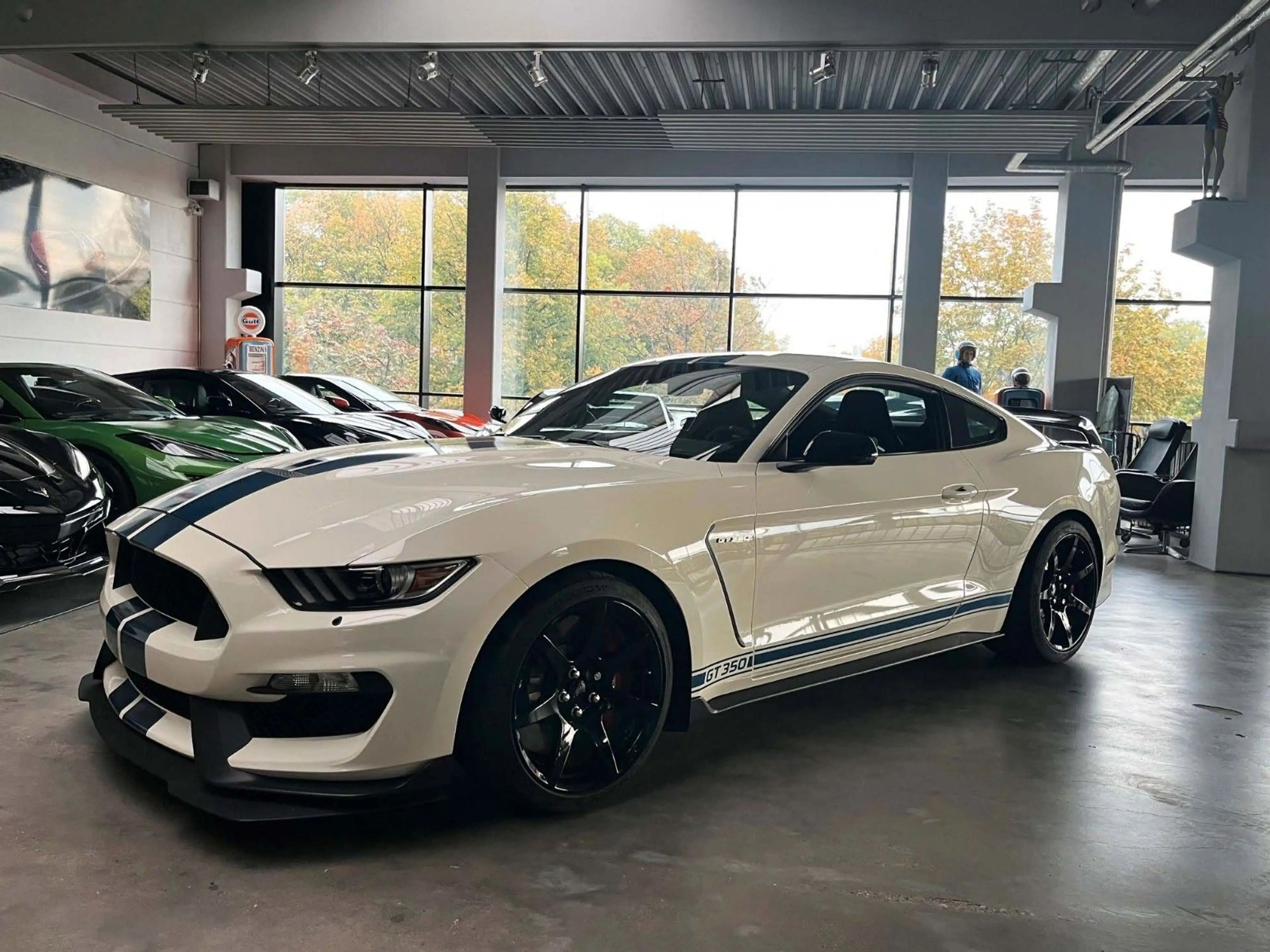 Ford Mustang Shelby GT350R Heritage Edition — photo 4
