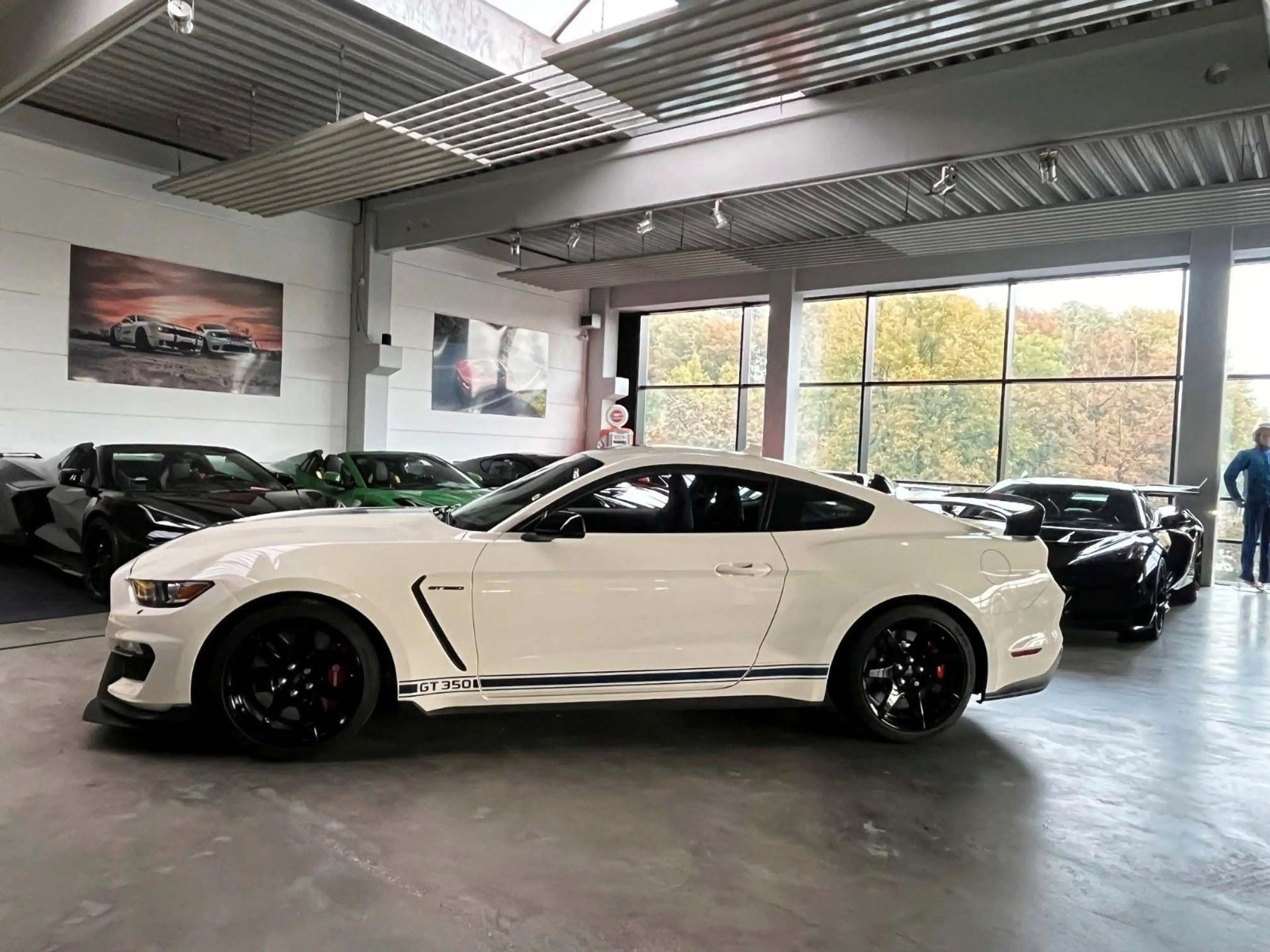 Ford Mustang Shelby GT350R Heritage Edition — photo 5