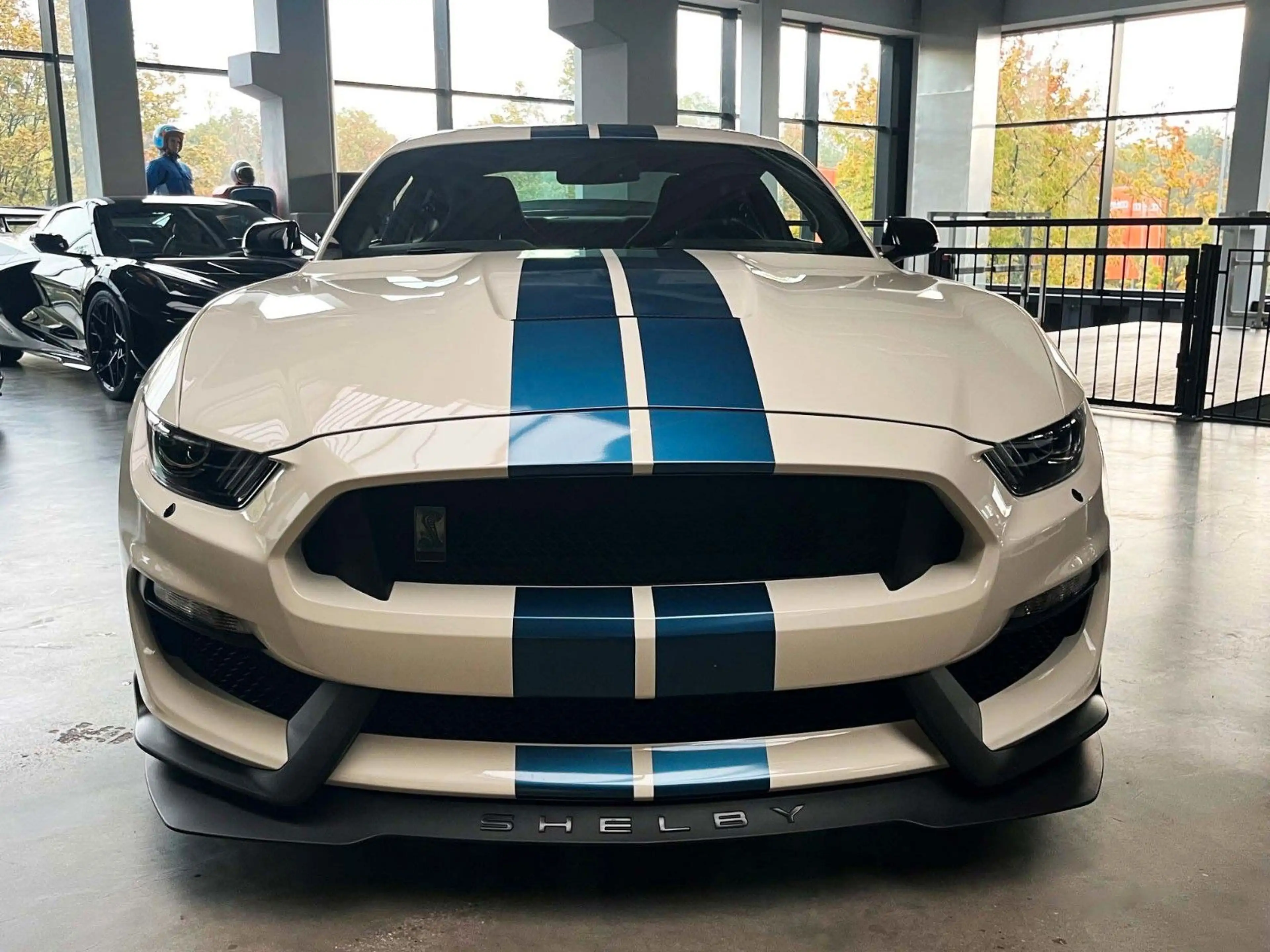 Ford Mustang Shelby GT350R Heritage Edition — photo 3