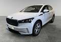 Skoda Enyaq 80 Loft Edition *AHK*Wärmepumpe* Weiß - thumbnail 1