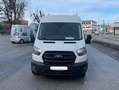 Ford Transit Transit 350 TDCi 350 L2 VA Basis Weiß - thumbnail 1