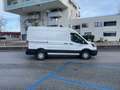 Ford Transit Transit 350 TDCi 350 L2 VA Basis Weiß - thumbnail 3