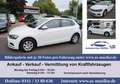 Volkswagen Polo VI 5T 59kw Klima-Allwetter-21874 km uvm. Wit - thumbnail 30