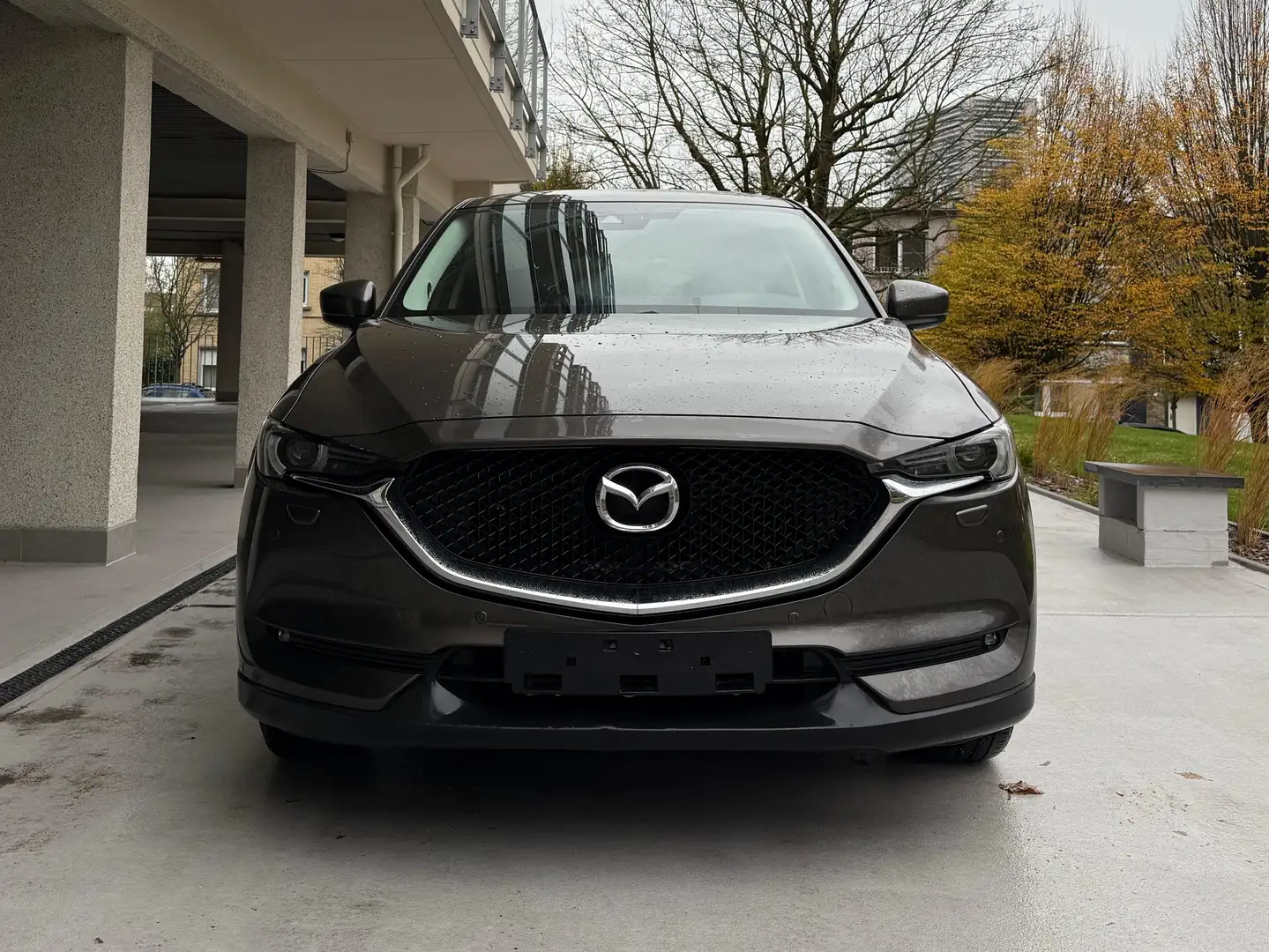 Mazda CX-5 CX-5 2.0i SKYACTIV-G 4WD Privilege Edition Brun - 2