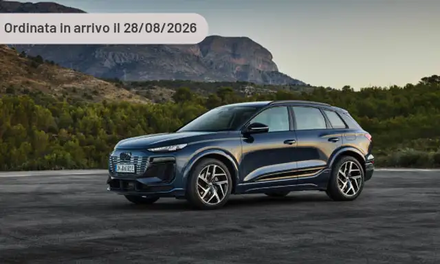 Audi Q6 e-tron Business