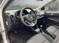 Kia Picanto 1.0 DPi ComfortLine 5p + CRUISE CONTROL+NAP Wit - thumbnail 17